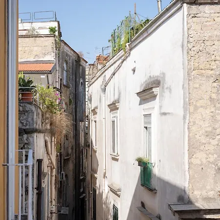 Velato Carafa Palace By Dimorra Πανσιόν